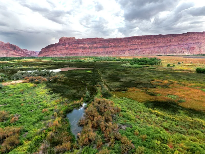 Green wetland below red-rock cliffs
